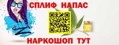 СК Пенза