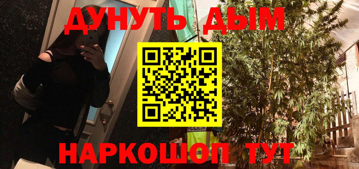 Шишки марихуана LSD WEED  Конопля семена  Славгород  Вход с VPN  Каннабис конопля 
